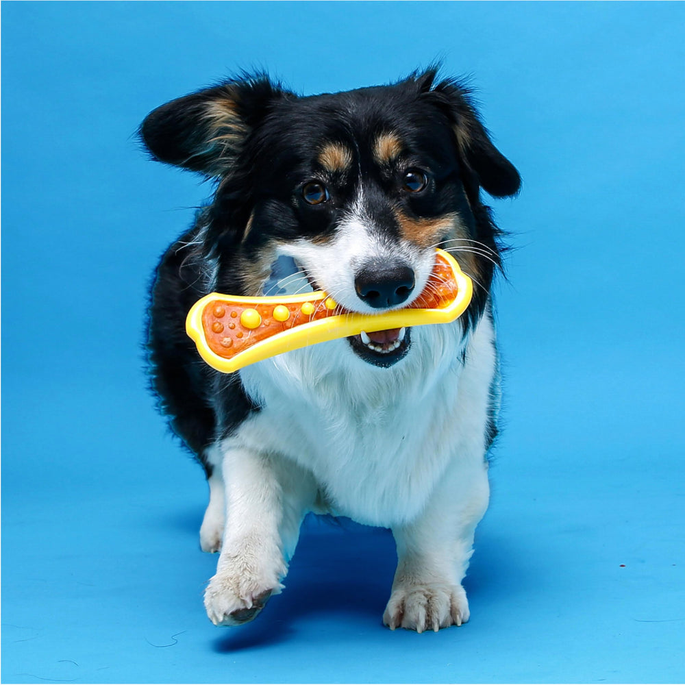 Hartz Chew 'n Clean Duo : tailles XS à XL pour toutes les tailles.
