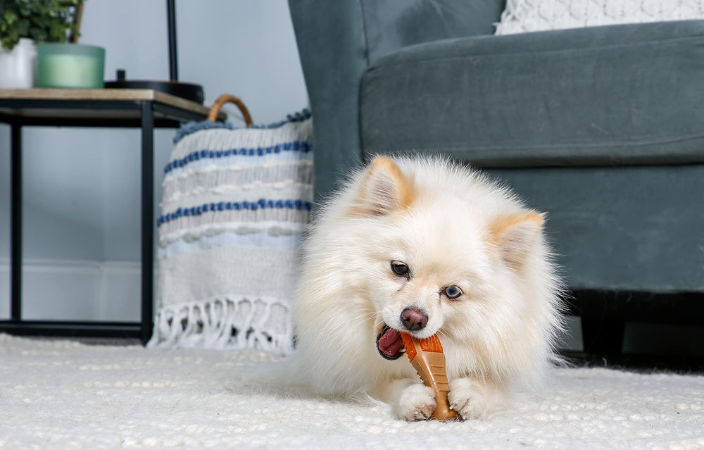 Hartz Chew ’n Clean: taille extra-petite adaptée aux petits chiens.