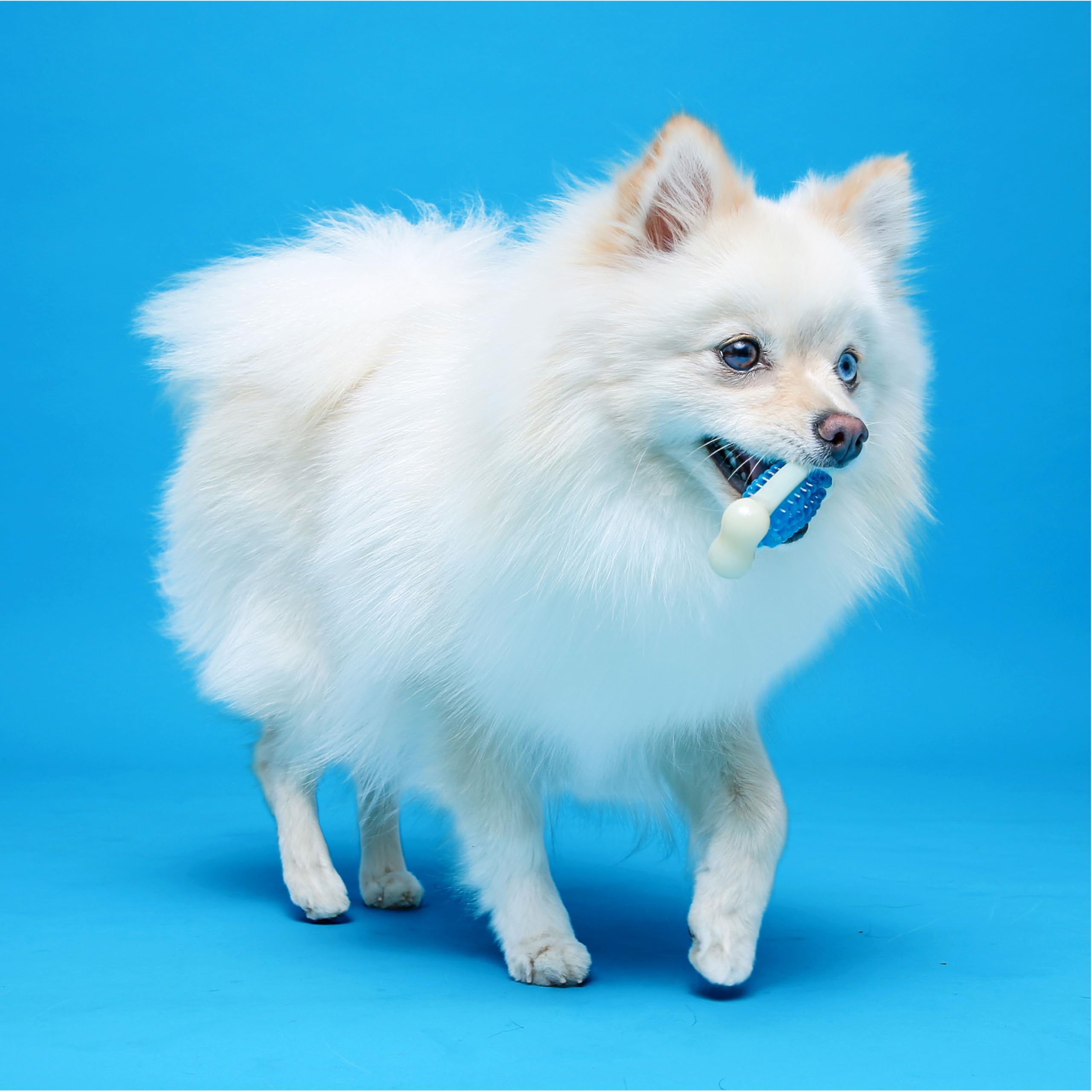Hartz Chew ’n Clean Tuff Bone – matériel durable nylon et PU pour mâchage prolongé.