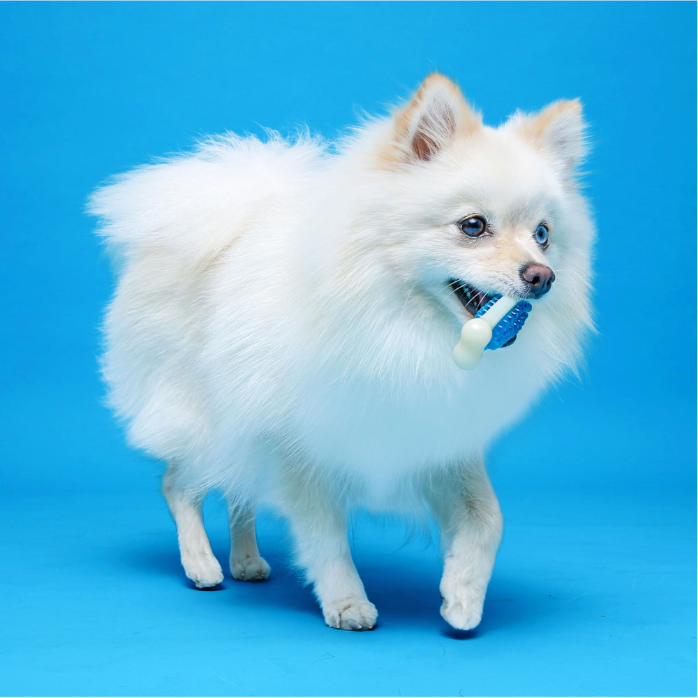 Hartz Chew ’n Clean Tuff Bone – matériel durable nylon et PU pour mâchage prolongé.