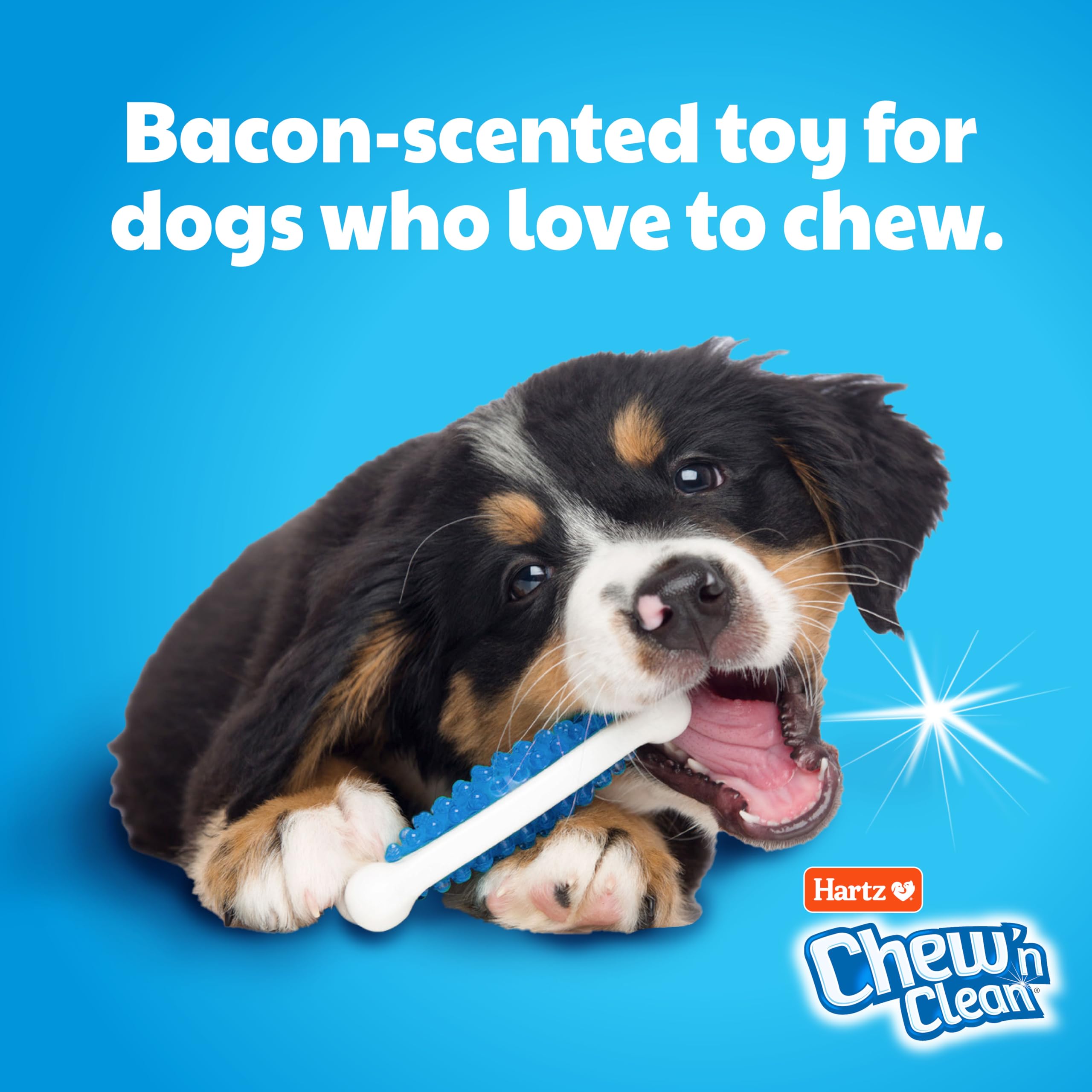 Hartz Chew ’n Clean Tuff Bone – bourrelets texturés massant gencives et nettoyage dentaire.