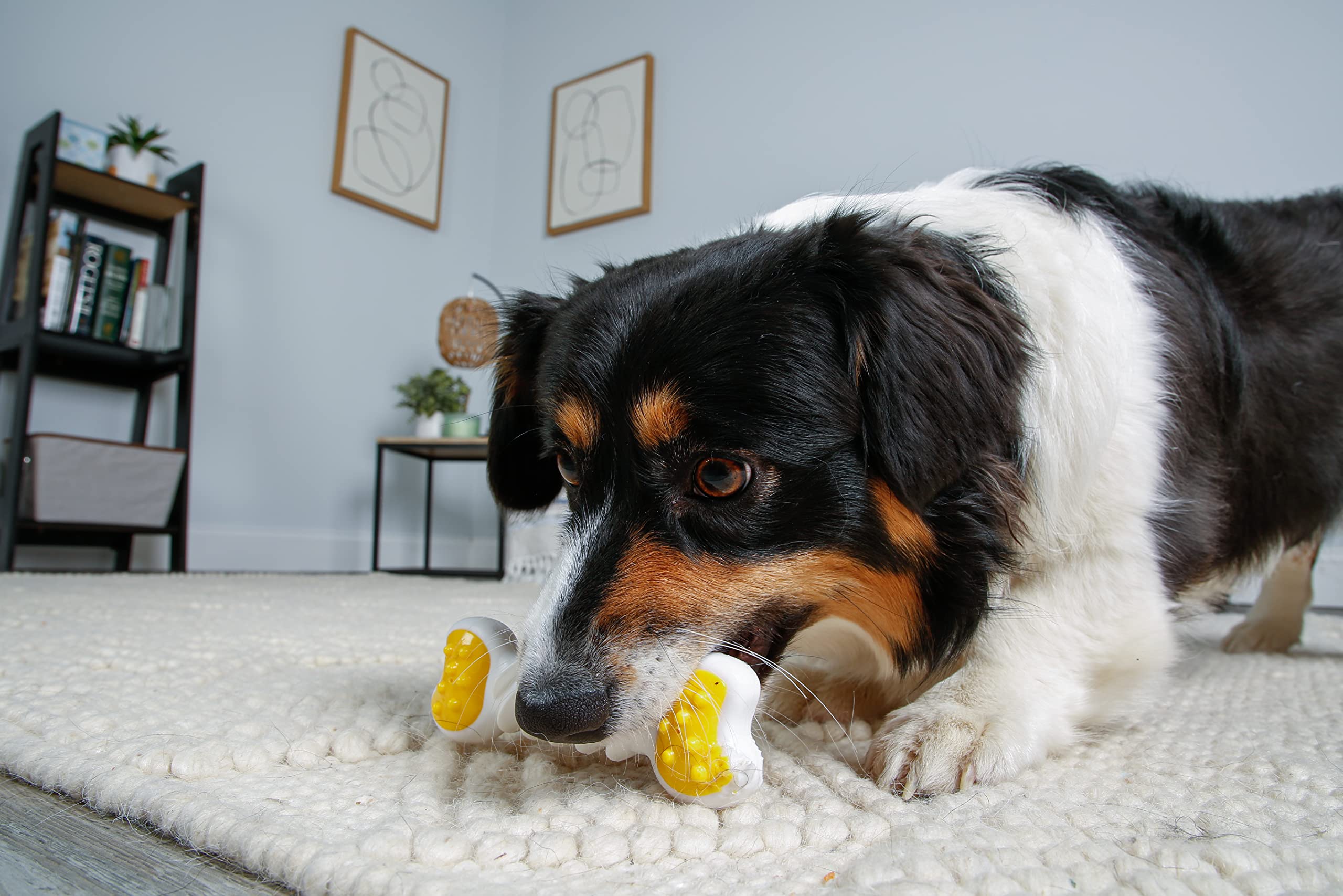 Twisty Bone Hartz taille petite-moyenne, adaptée pour chiens modérés.