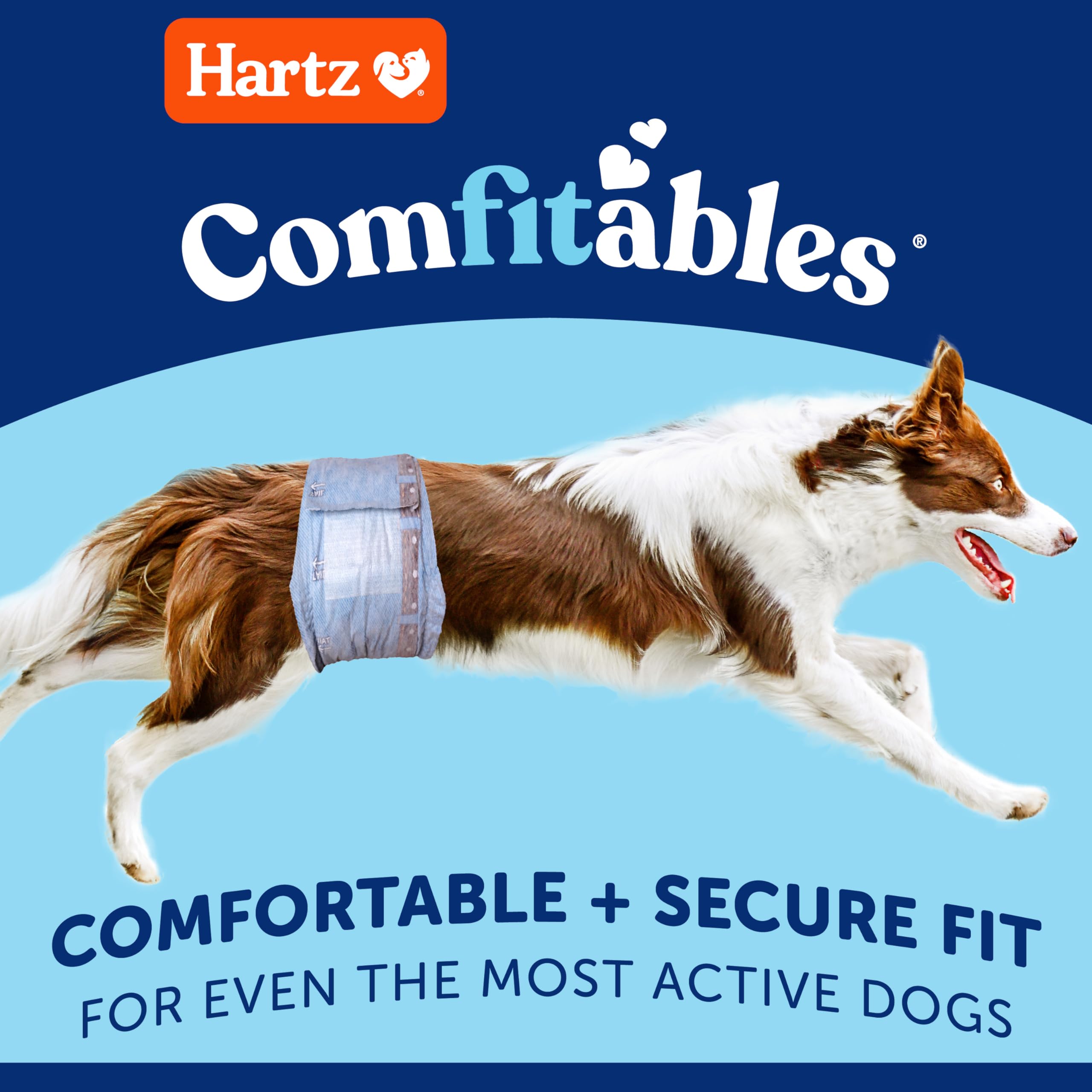 Hartz Comfitables : attache-fermeture large assure un maintien sûr et facilement ajustable