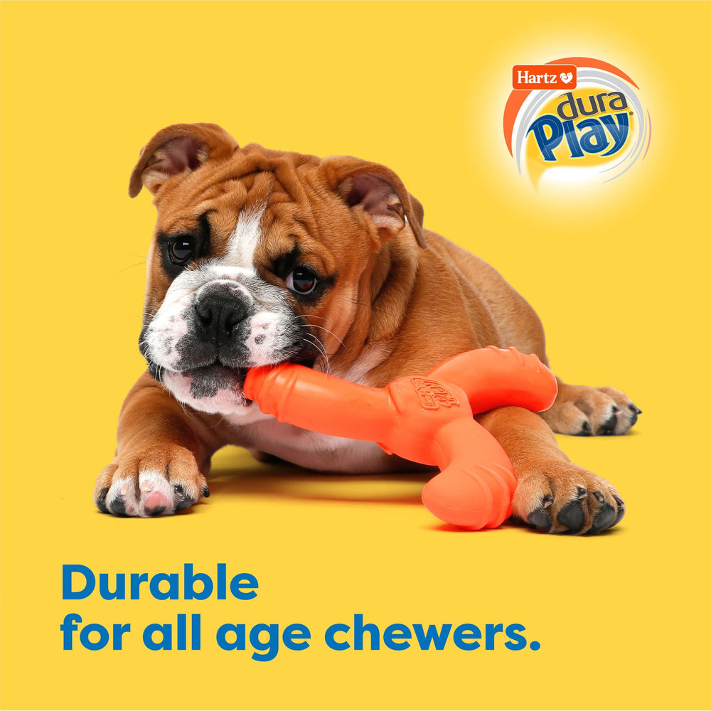 Jouet Hartz Duraplay odeur bacon, taille adaptée pour petits et grands chiens.
