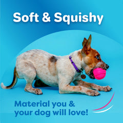 Hartz DuraPlay extérieur en latex naturel robuste et durable.