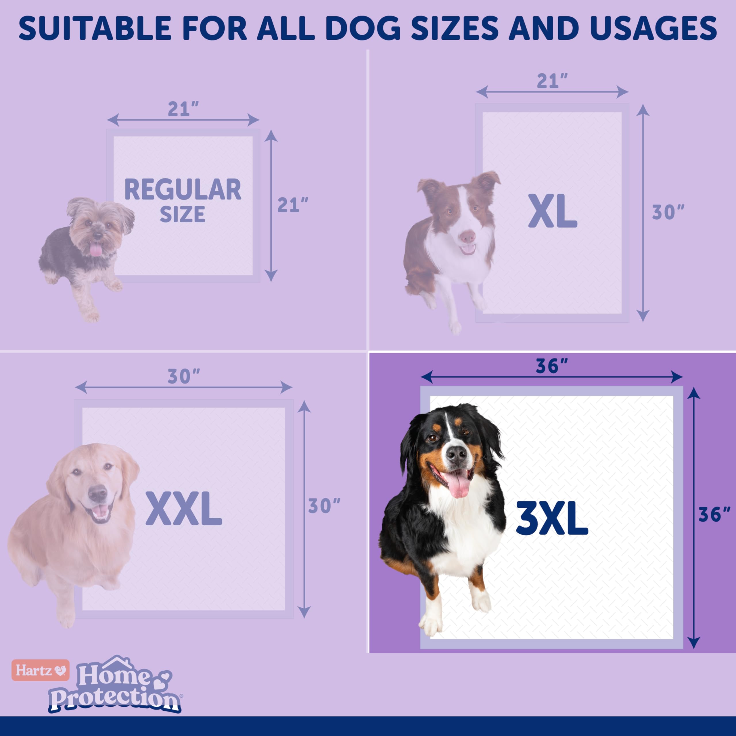 Tapis d’intérieur idéal pour chiens âgés ou malades.