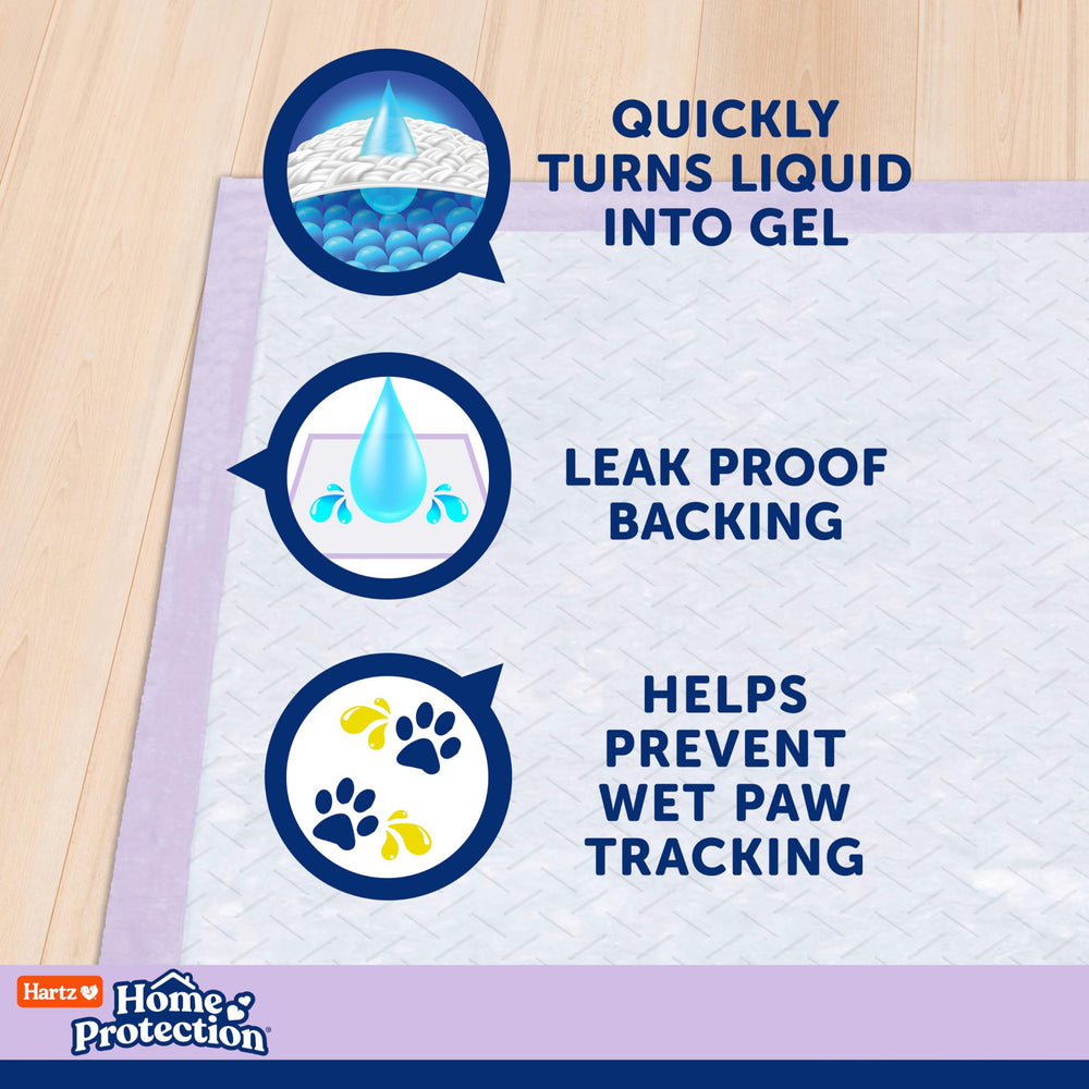 Hartz Home Protection: ideal pour education des chiots et propreté