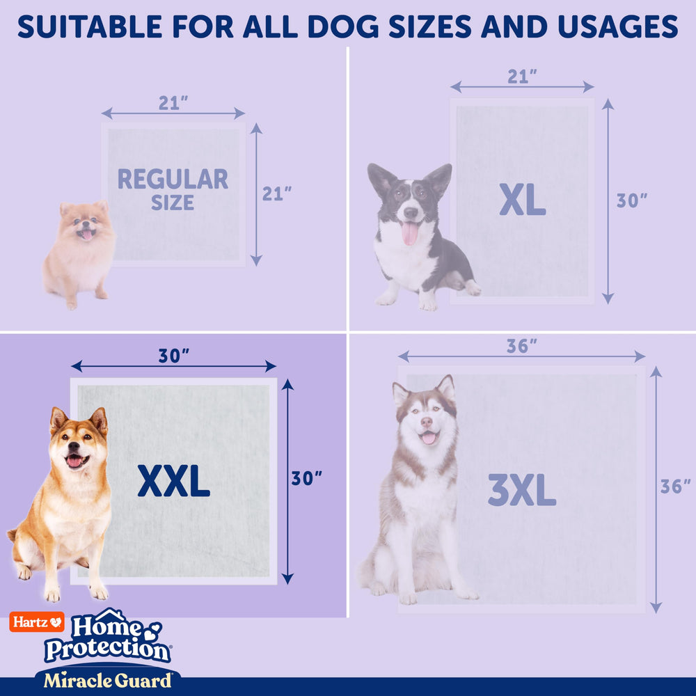Hartz Miracle Guard taille 2XL pour les grands chiens et usages nocturnes.
