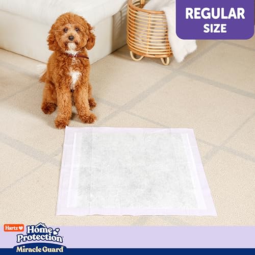 Hartz Miracle Guard aucune trace visible