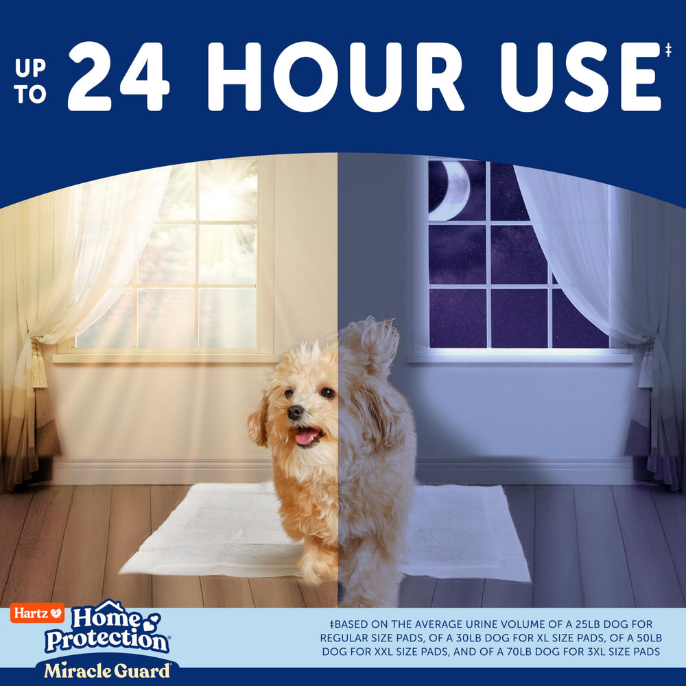 Hartz Miracle Guard, tapis-chien 24h, prévention des fuites et intérieur propre.
