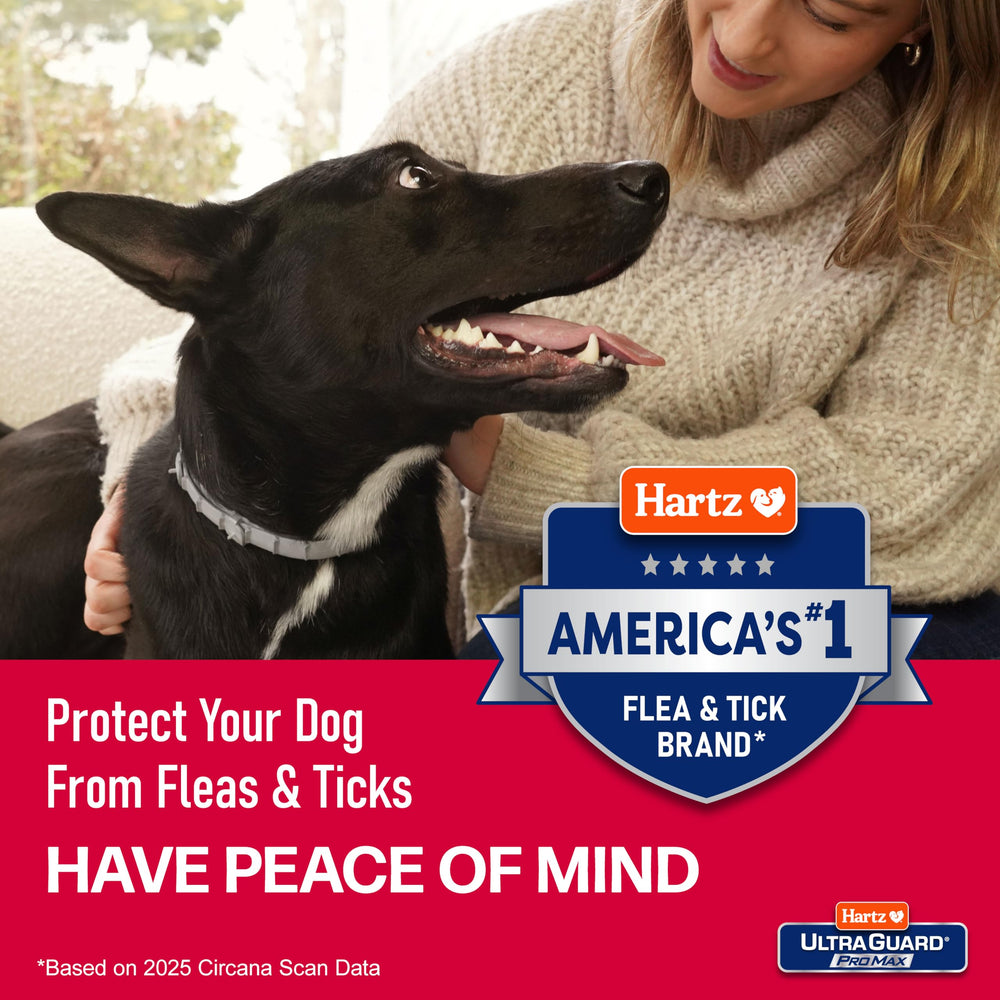 Collier Hartz ProMax taille unique ajustable pour divers chiens.