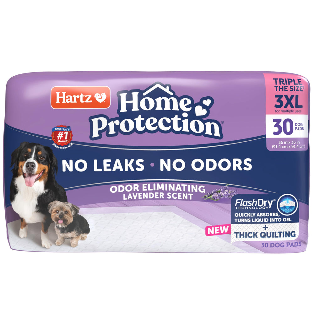Hartz tapis-chien absorbant lavande 3XL pour retenir les liquides.