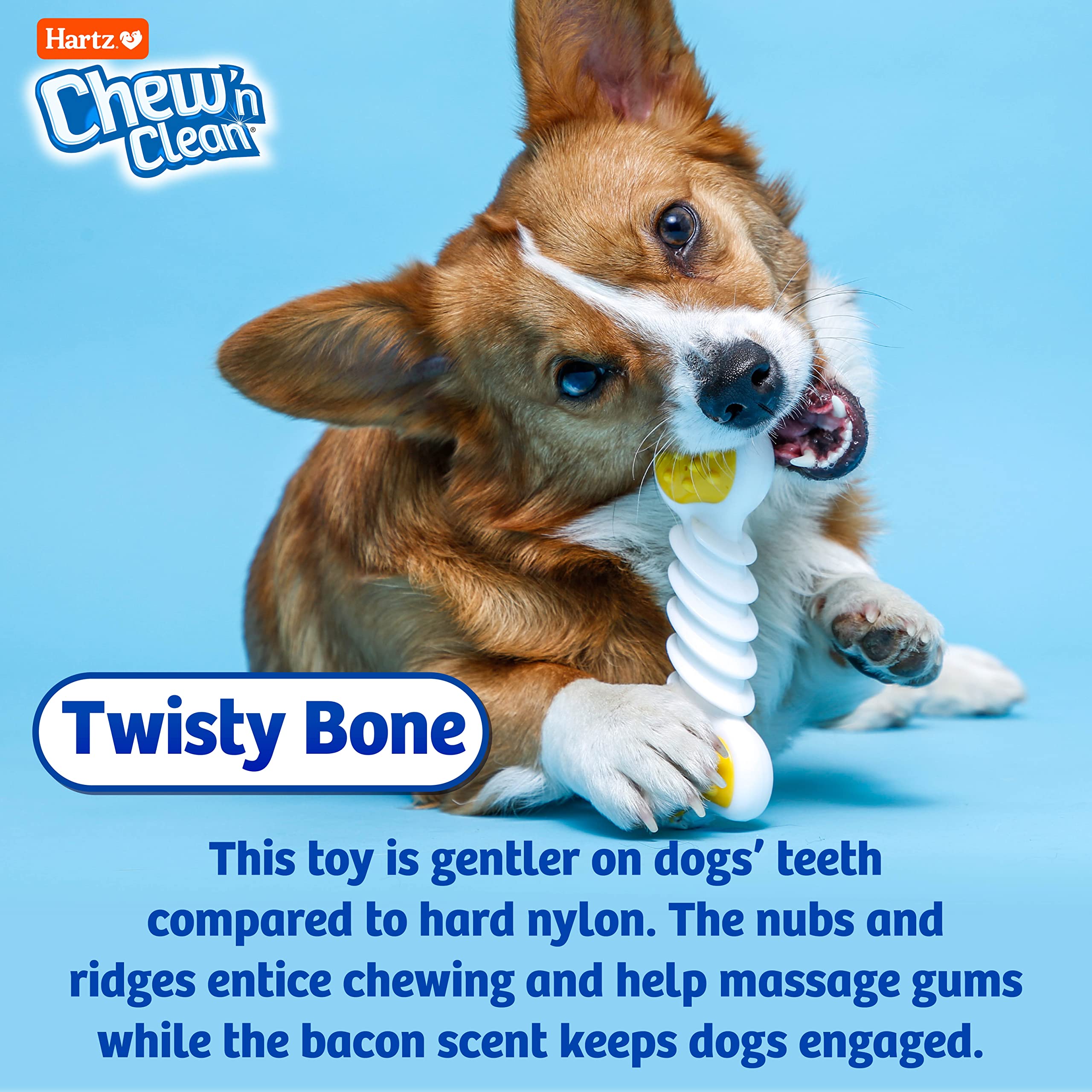 Hartz Twist Bone petite, massage gencives pour un confort buccal pendant le jeu.