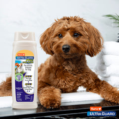 Hartz UltraGuard Pro : rinçage-efficace élimine la saleté sans irritations.