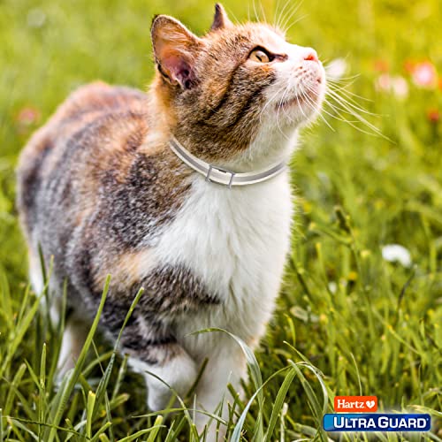Conseils d’utilisation Hartz UltraGuard Pro pour une protection continue.