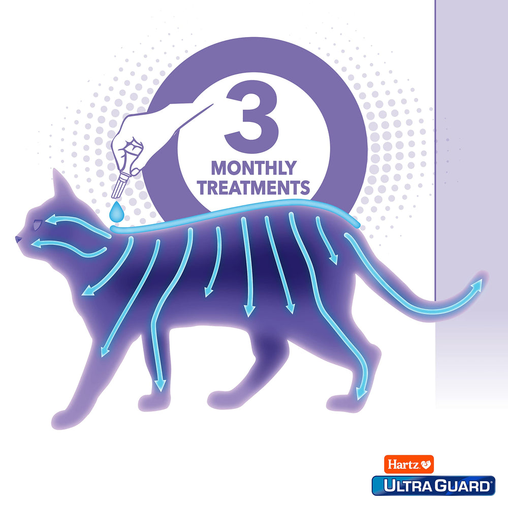 Hartz UltraGuard repousse les moustiques autour du chat.