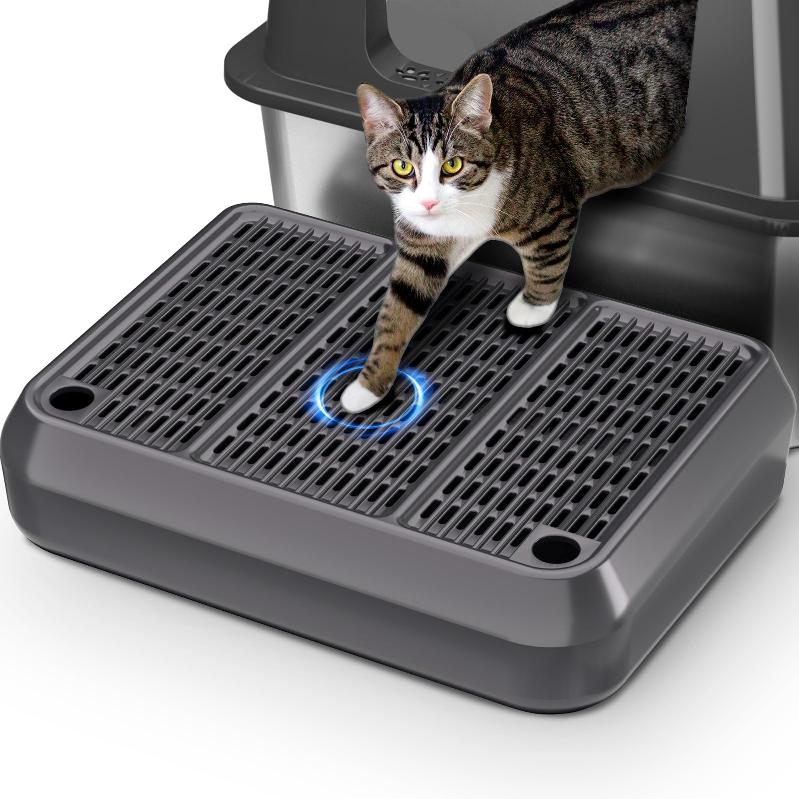 HASKARE rampe-litière 16x11: grande surface d'atterrissage pour chats lors de la sortie.