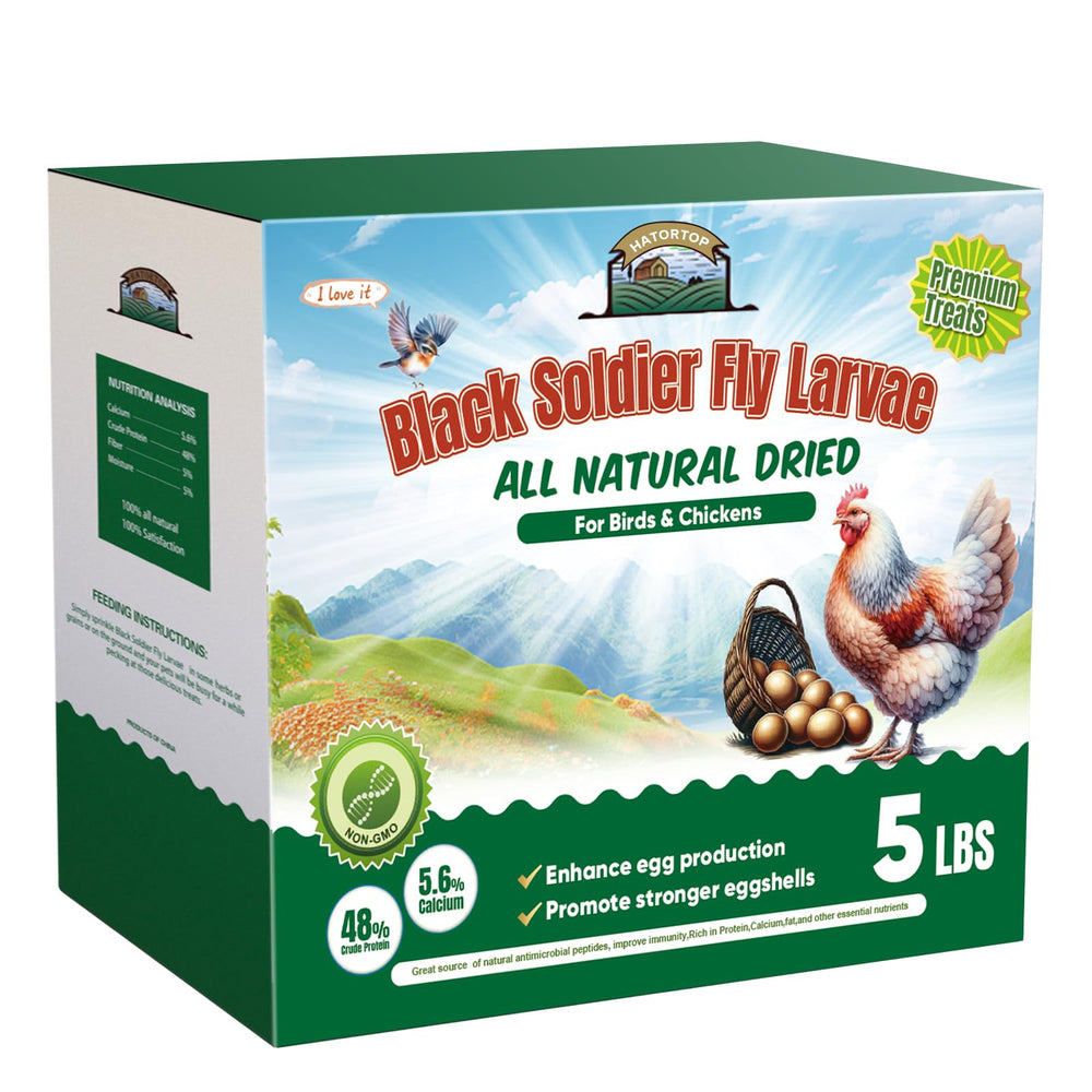 HATORTOP larves BSF pour poules séchées, friandise nutritive et facile à donner.