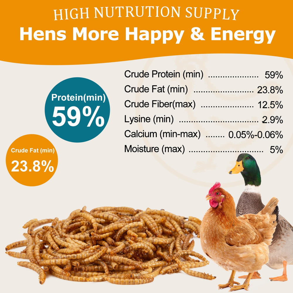 HATORTOP larves de farine sèches, nourrissage oiseaux, apport protéique naturel sans artifices.