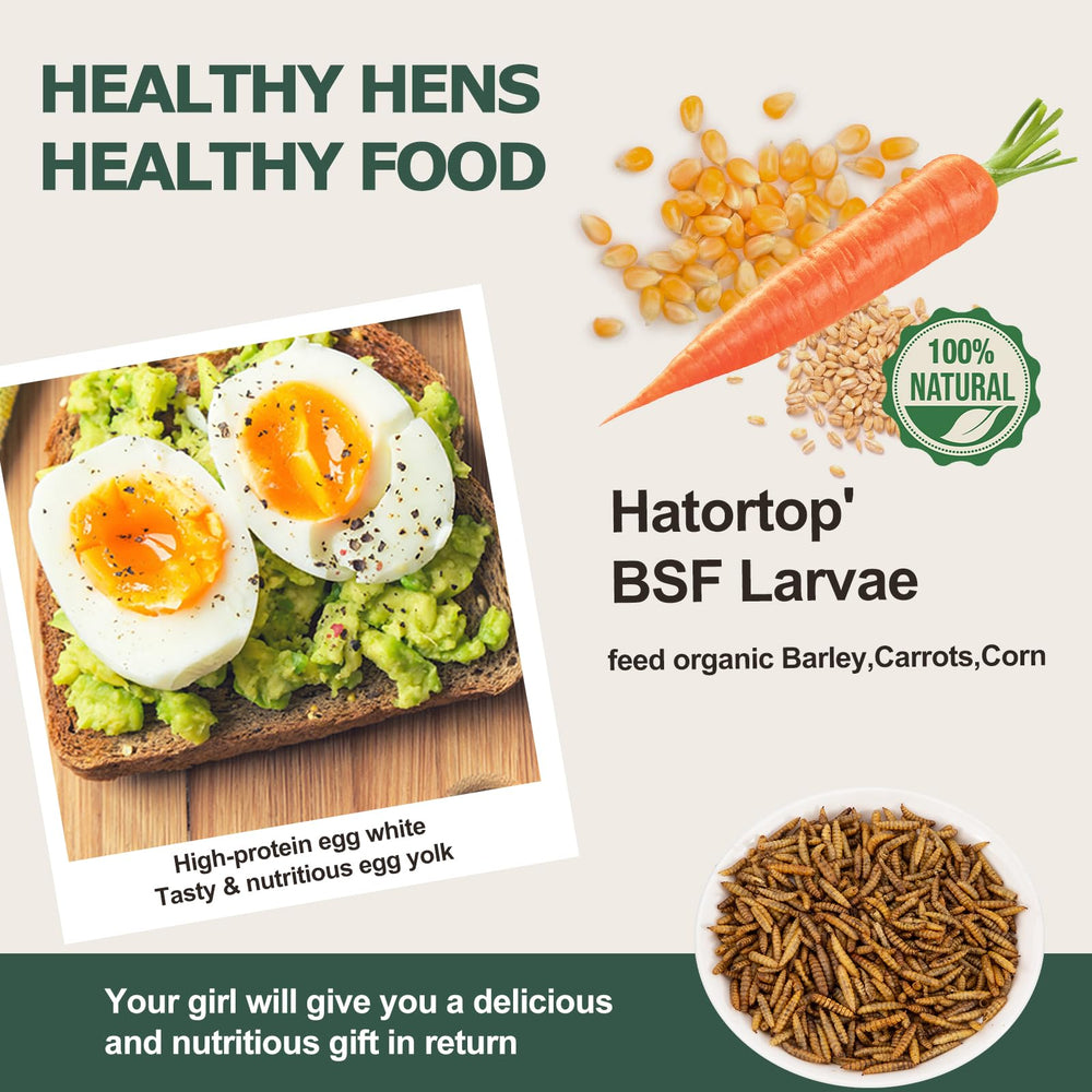 HATORTOP larves-proteine 48% pour poulets, alimentation naturelle sans OGM.