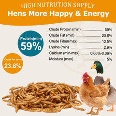 HATORTOP protéines élevées, aliment pour poules pondeuses et oiseaux.