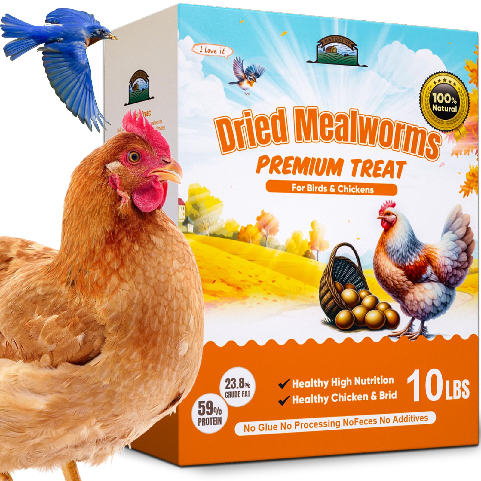 HATORTOP vers de farine séchés, source protéique pour poules et oiseaux.
