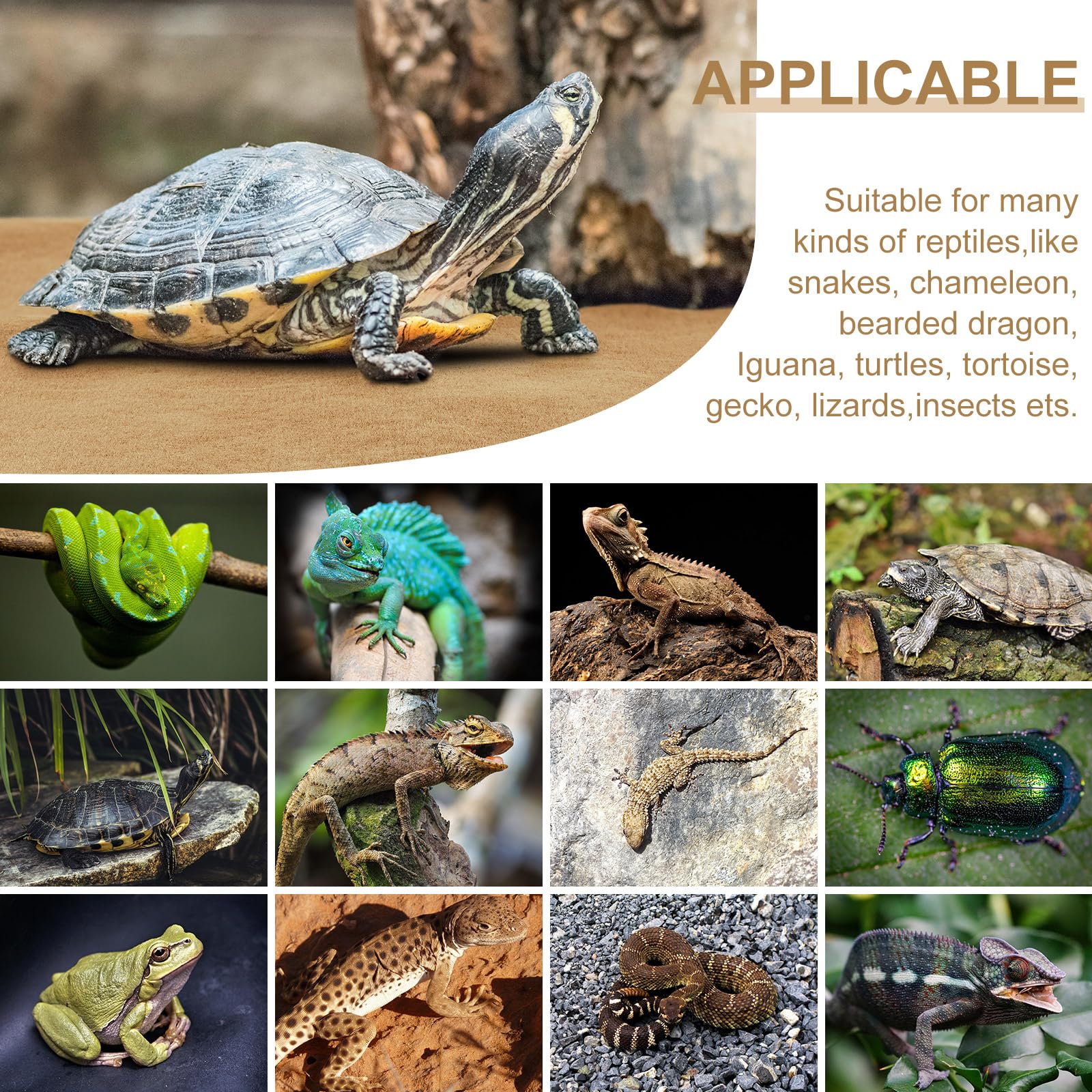 Pack 4 tapis Haull – ensemble pratique pour différents reptiles.