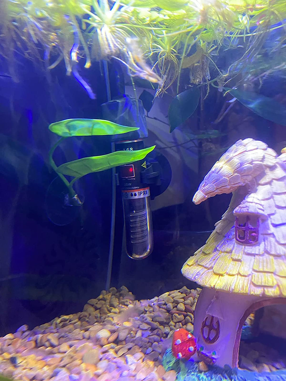 Haulonda feuille-betta-hamac-durable-bpa-free, matériau sain et durable pour l’aquarium.