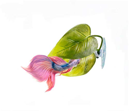 Haulonda feuille-betta-naturelle-simule-plante, décor naturel et sûr pour l’aquarium.