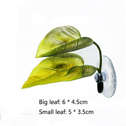 Haulonda hamac-betta-feuille-nid-bulles, support idéal pour la nidification et l’observation.