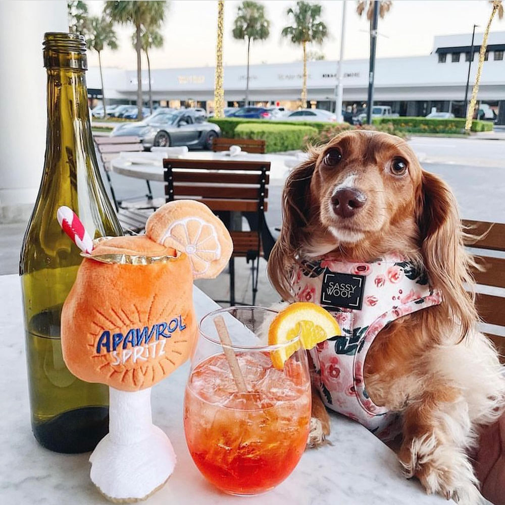 Haute Diggity Dog Apawrol Spritz lavage machine pratique et rapide à entretenir.