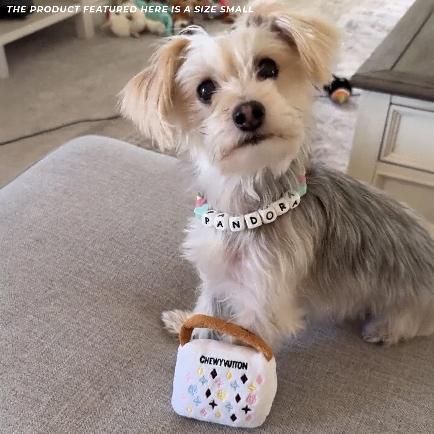 Idée cadeau parodie pour chien, Haute Diggity Dog, plaisir ludique et sûr.