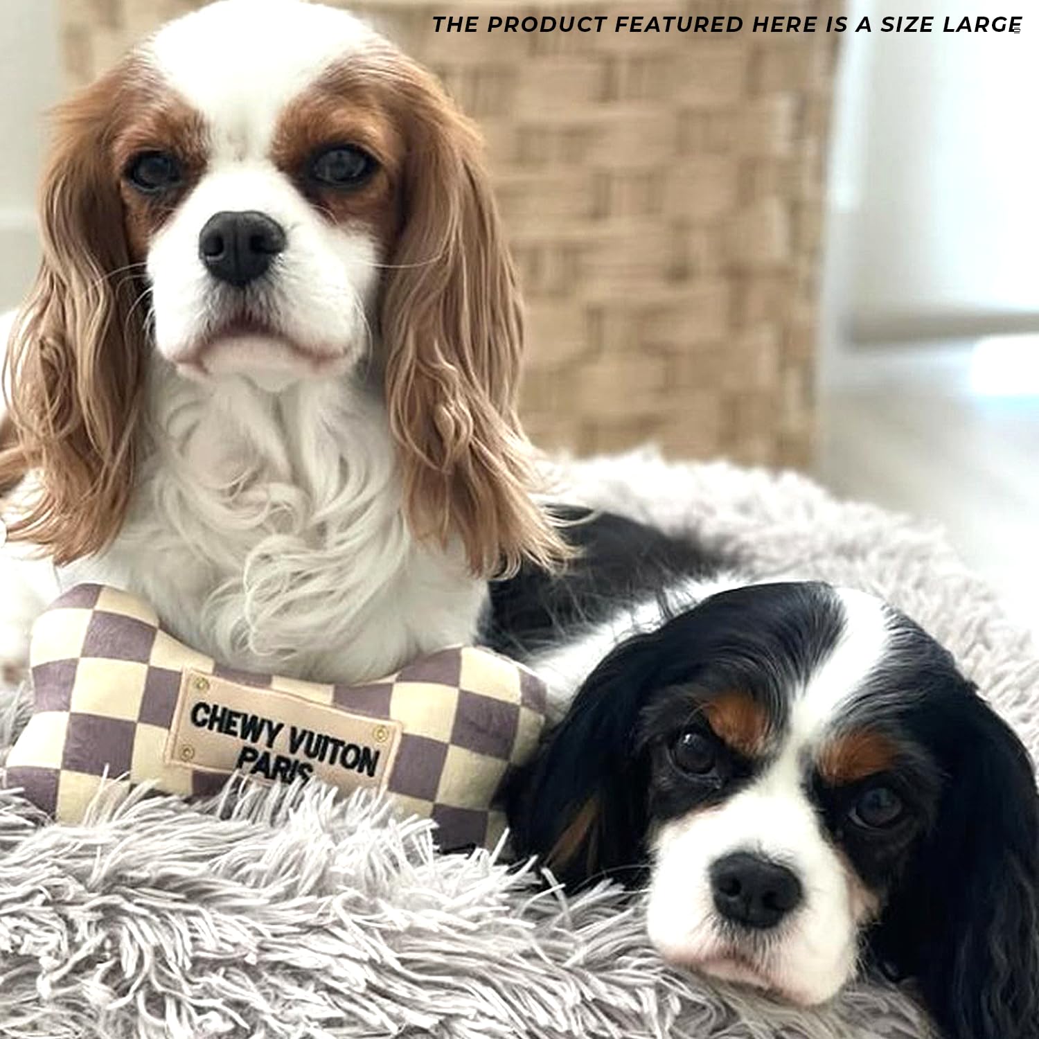 Idéal pour les jeux de récupération et les câlins avec Haute Diggity Dog Checker Chewy Vuiton