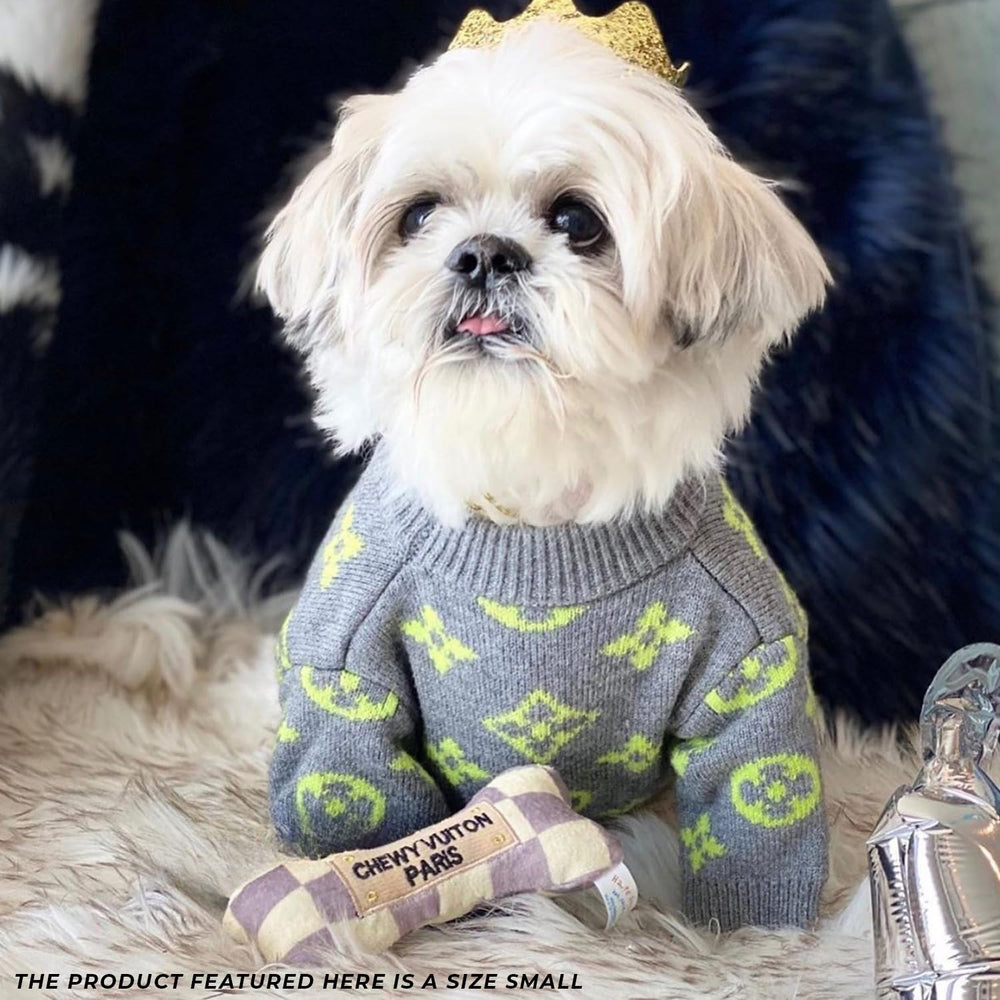 Idée cadeau parodie luxe pour chien avec Checker Chewy Vuiton.