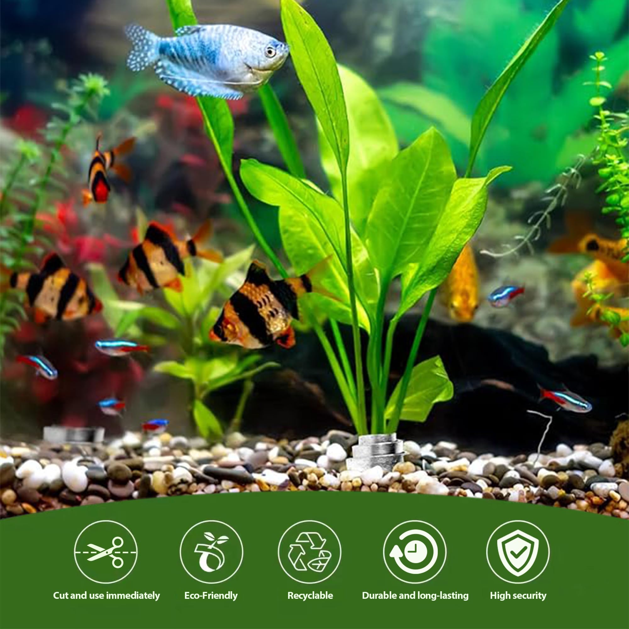 Installation facile avec HAVANSIDY pour fixer des plantes sans détours.