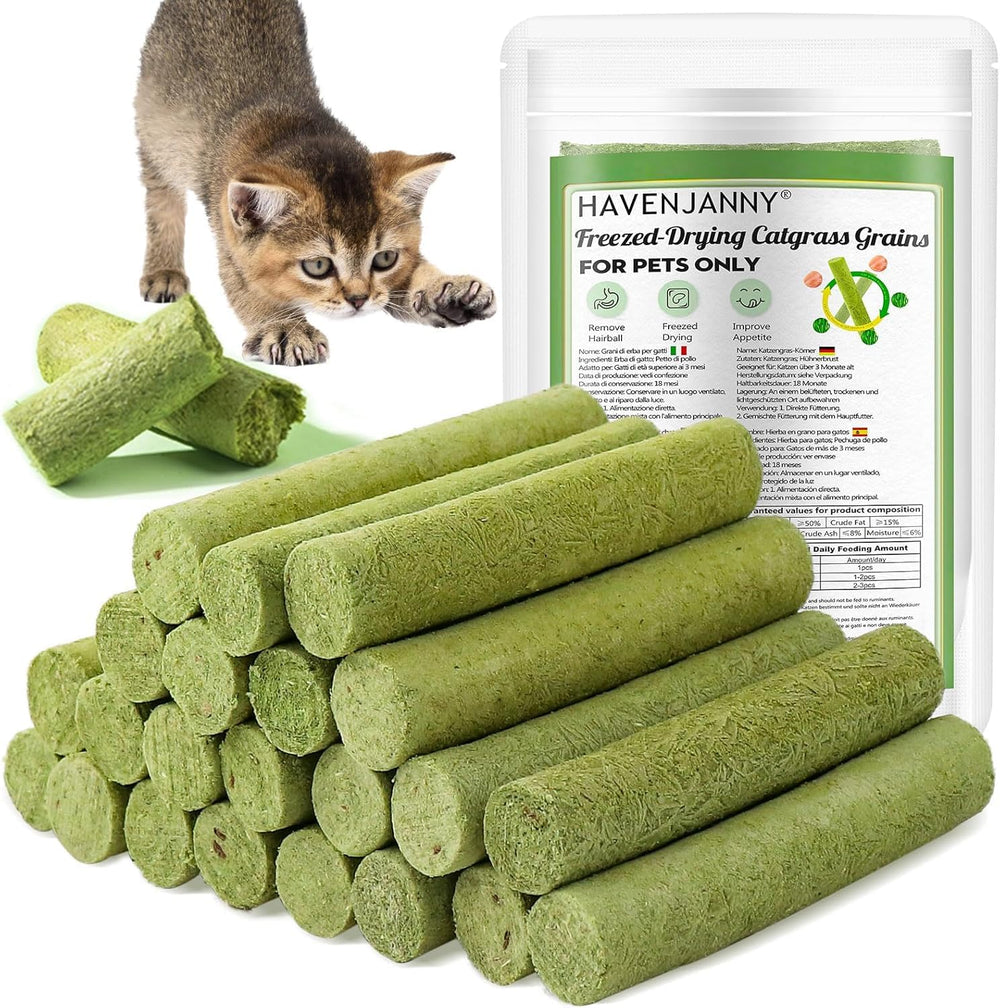 Bâton dentition HavenJanny en herbe-chat, texture naturelle pour la dentition et le plaisir