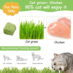 HavenJanny bâtonnets mâchables d’herbe-chat pour petites bouchées.