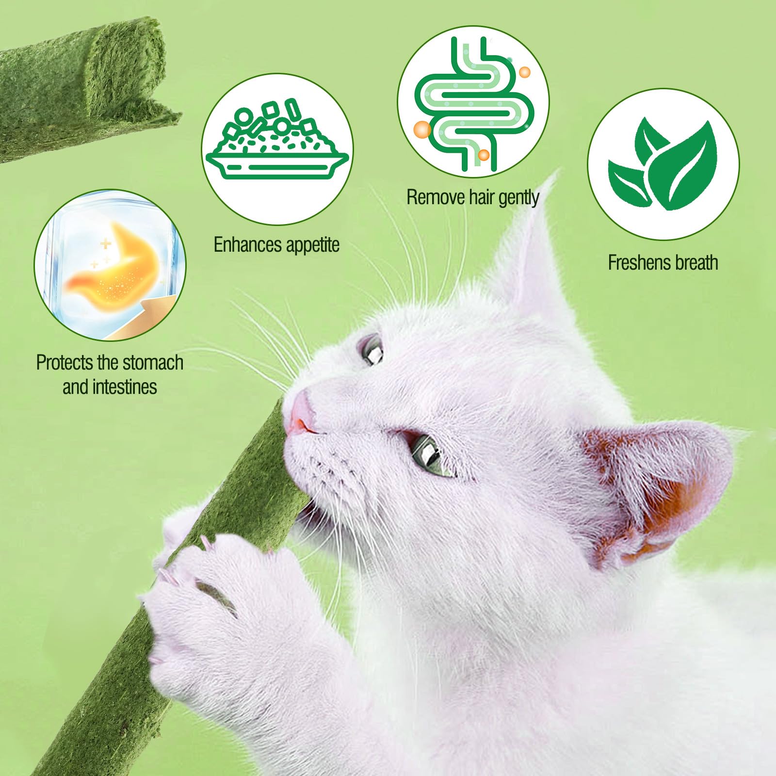 HavenJanny Emballage Conserve Chat: emballage hermétique préservant le croquant