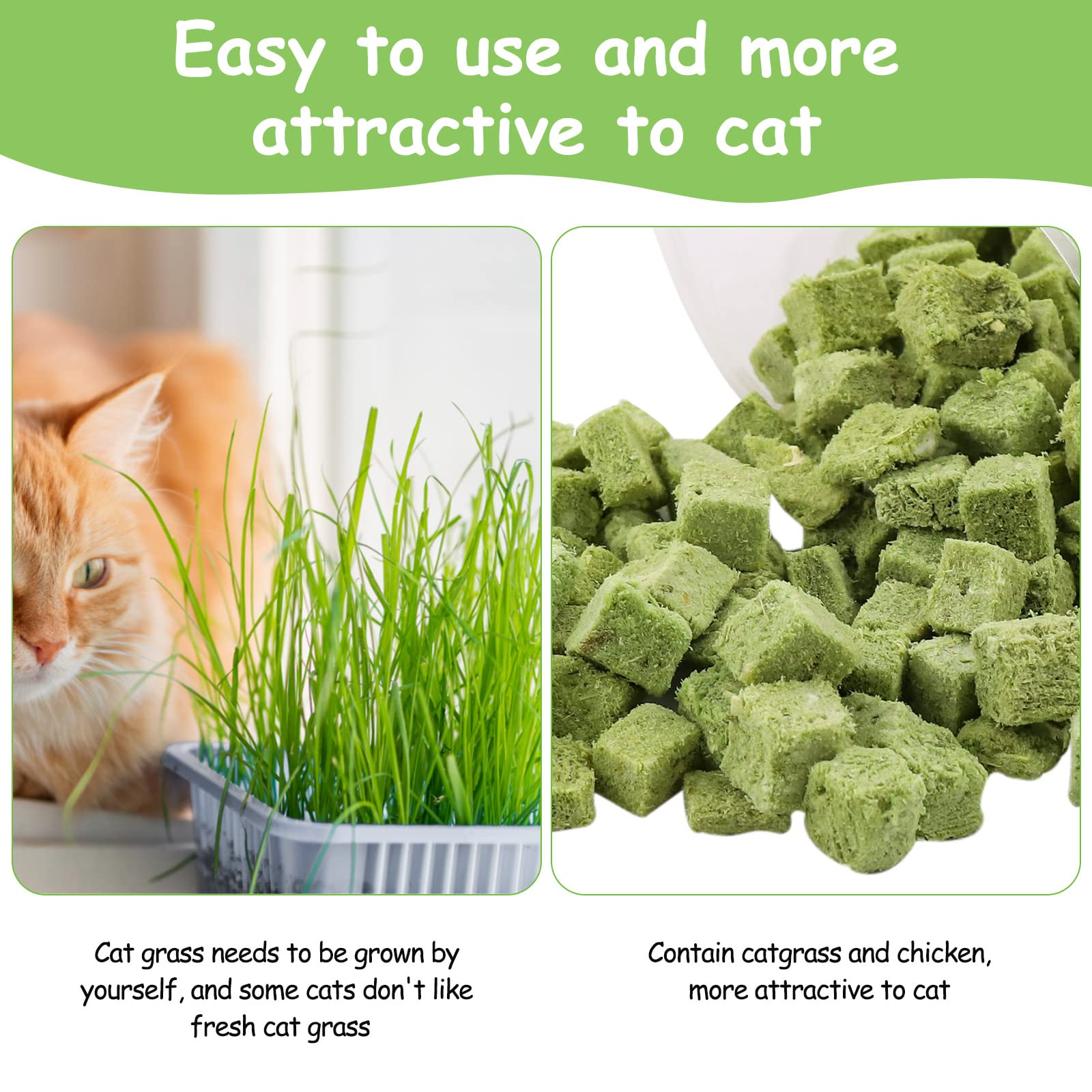 HavenJanny emballage d'herbe pour chat, solution pratique pour la routine.