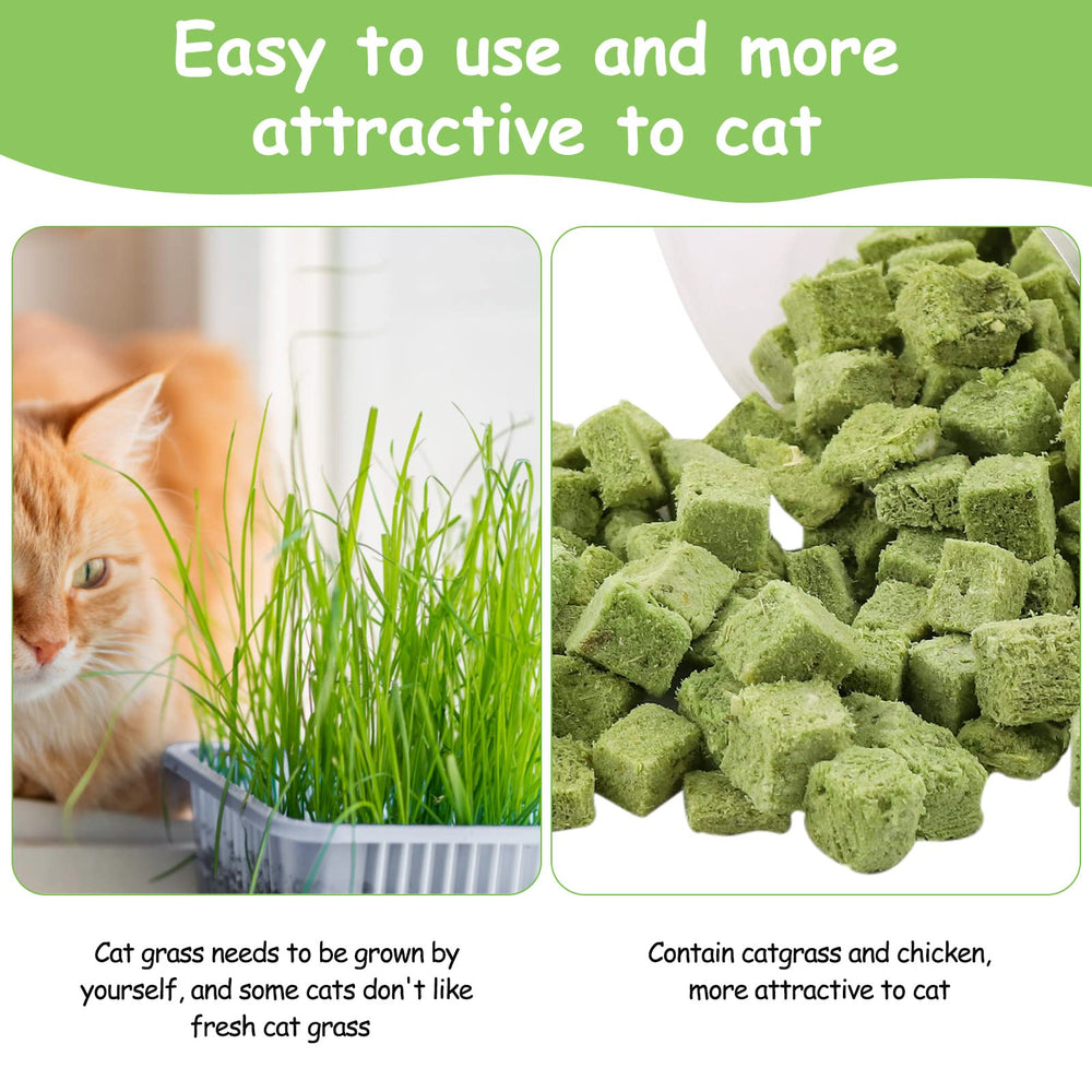 HavenJanny emballage d'herbe pour chat, solution pratique pour la routine.