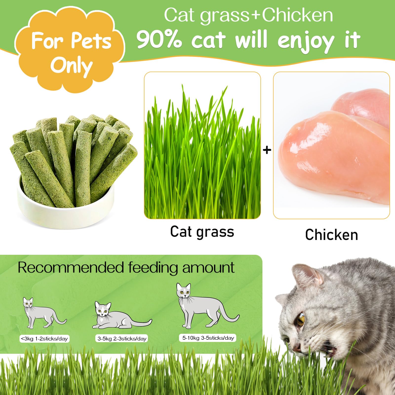Herbe-chat fraîche et bâton HavenJanny, friandise naturelle pour chats