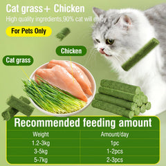 HavenJanny Herbe Chat Fraiche: parfum herbeux attirant le chat