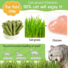 HavenJanny Herbe chat naturelle: ingredients frais pour un plaisir sain.