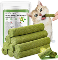 HavenJanny Stick dentition chat herbe: texture croquante et mastication facilitée.