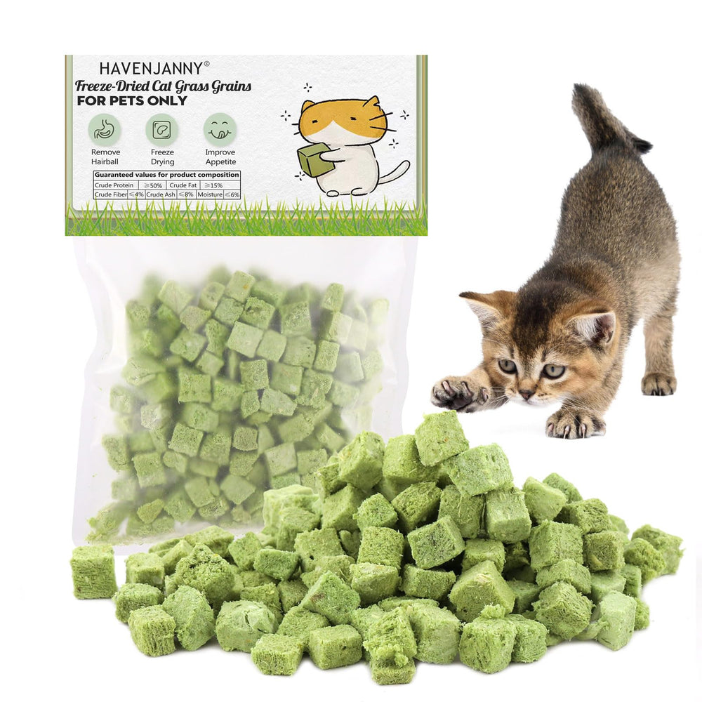 HavenJanny tige d'herbe pour chat, favorise la mastication.