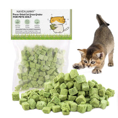 HavenJanny tige d'herbe pour chat, favorise la mastication.