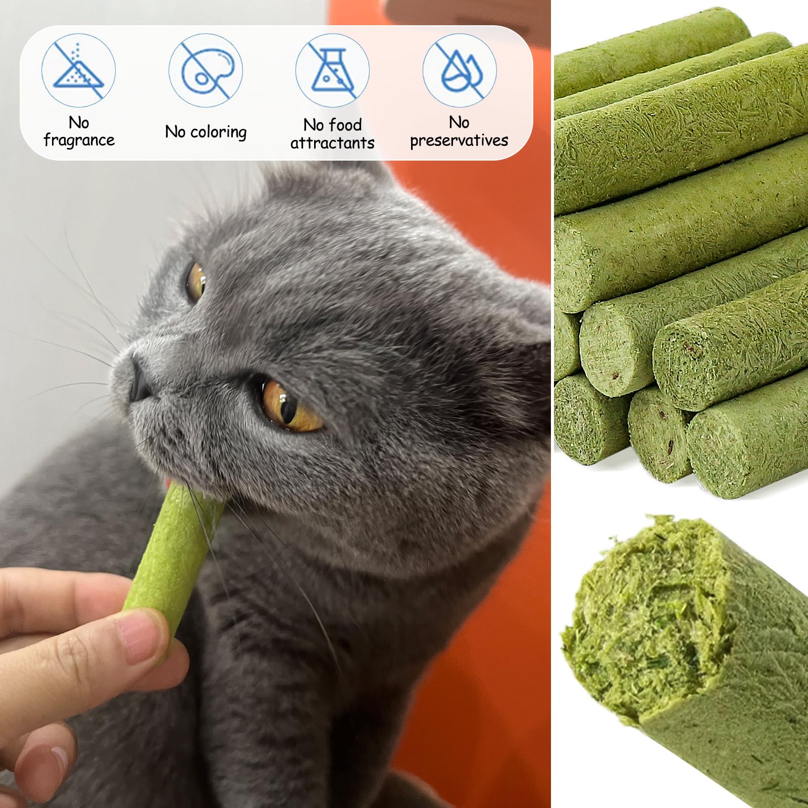 HavenJanny Usage recompense chat: parfait pour l entrainement quotidien.