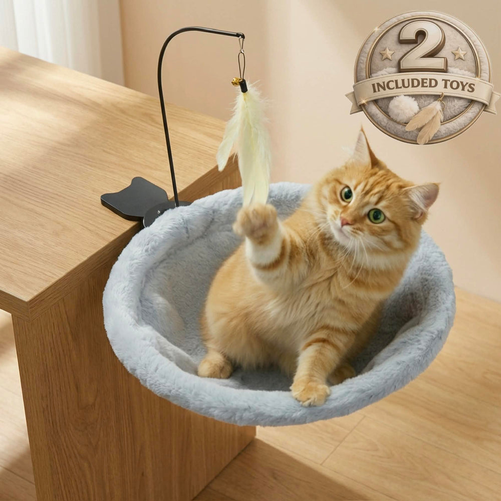 Havenloom chat télétravail-relaxation : le chat se détend près de vous.