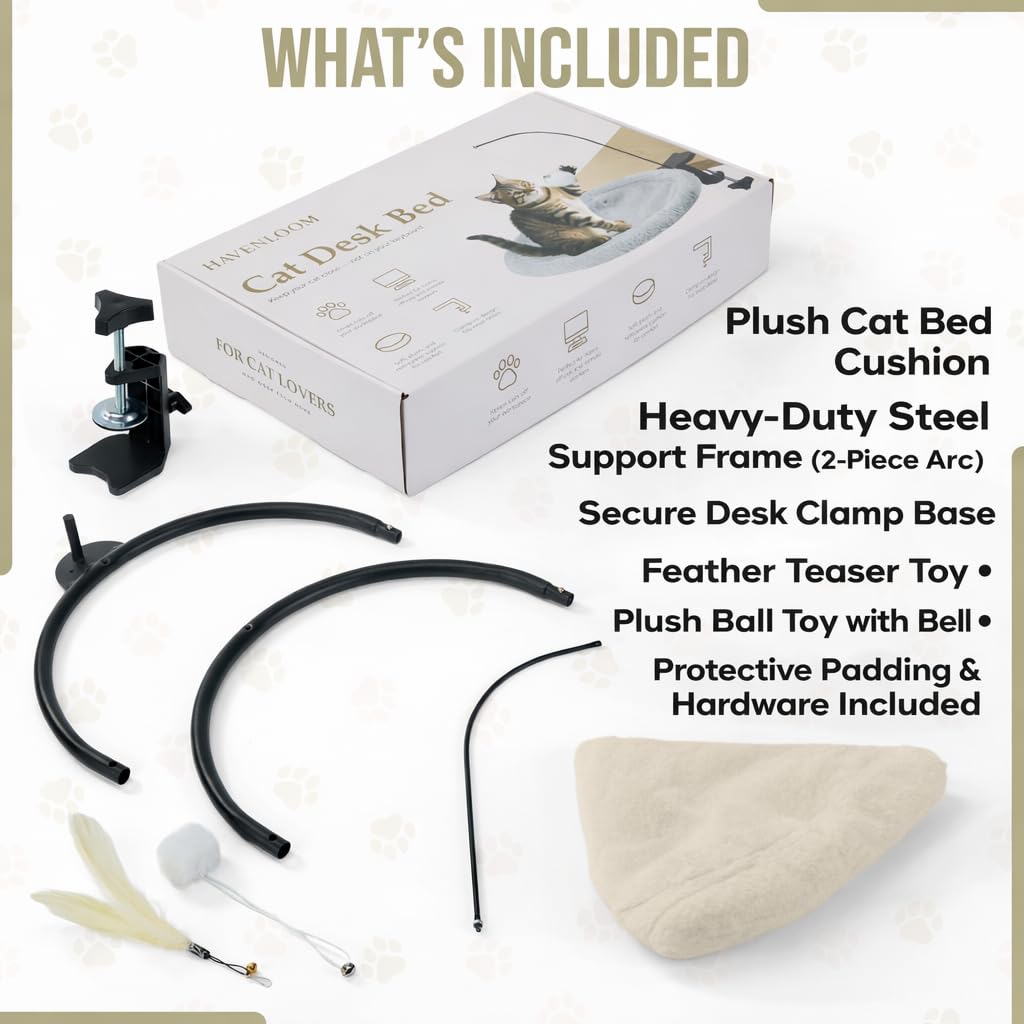 HAVENLOOM deux jouets suspendus interchangeables – stimulation variée pour le chat