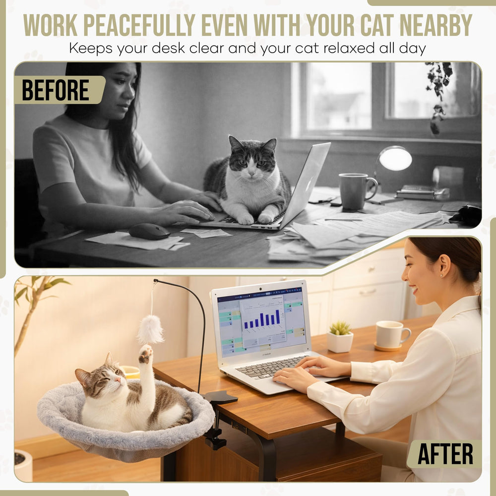 Havenloom jouet plume-balle chat : stimulation ludique pendant le télétravail.
